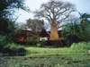 Impalila Island Lodge - Lodge 